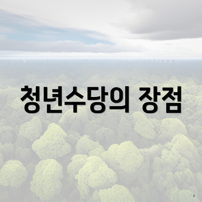 청년수당의 장점