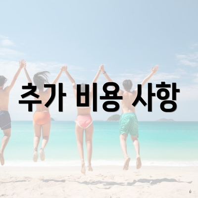 추가 비용 사항