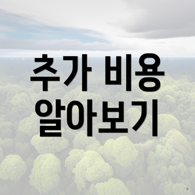 추가 비용 알아보기