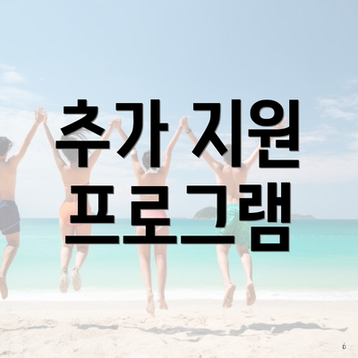 추가 지원 프로그램