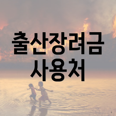 출산장려금 사용처