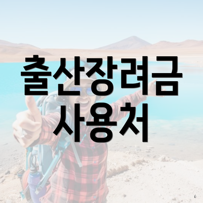 출산장려금 사용처