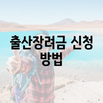 출산장려금 신청 방법