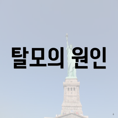 탈모의 원인