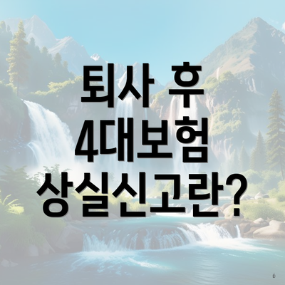 퇴사 후 4대보험 상실신고란?