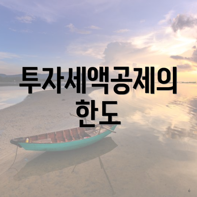 투자세액공제의 한도