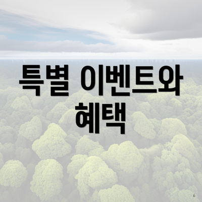특별 이벤트와 혜택