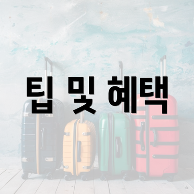 팁 및 혜택