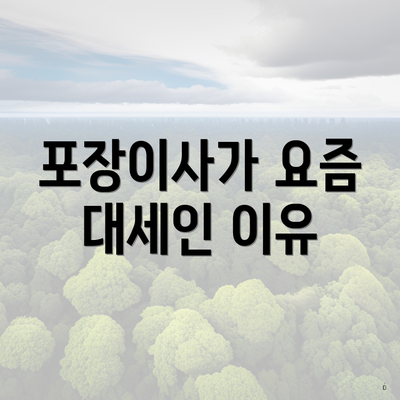 포장이사가 요즘 대세인 이유