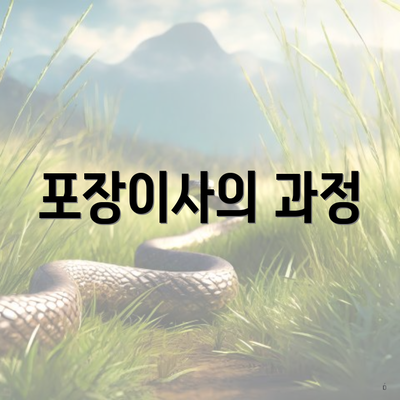 포장이사의 과정