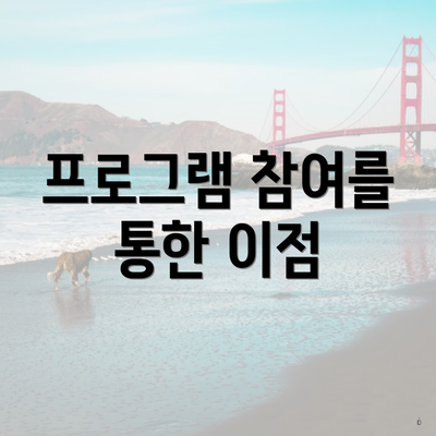 프로그램 참여를 통한 이점