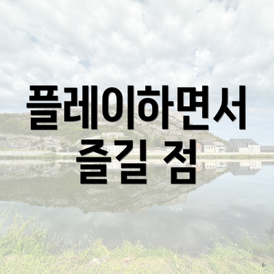 플레이하면서 즐길 점