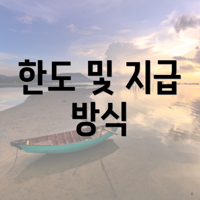 한도 및 지급 방식