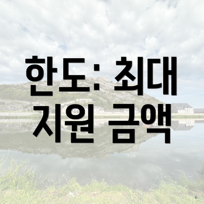 한도: 최대 지원 금액