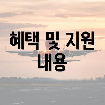 혜택 및 지원 내용