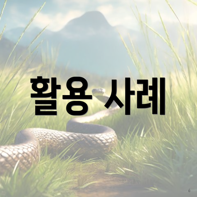 활용 사례