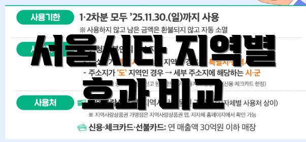 서울시타 지역별 효과 비교