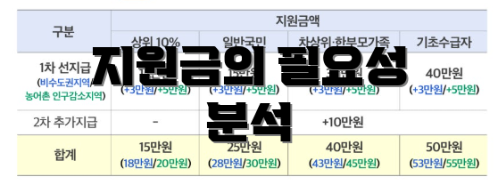 지원금의 필요성 분석