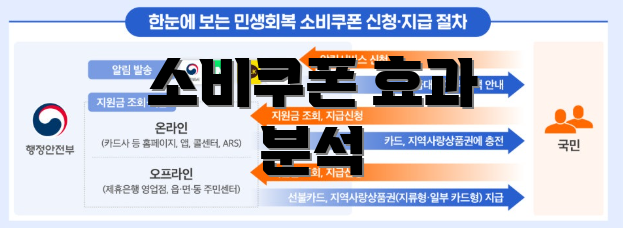소비쿠폰 효과 분석