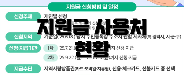 지원금 사용처 현황