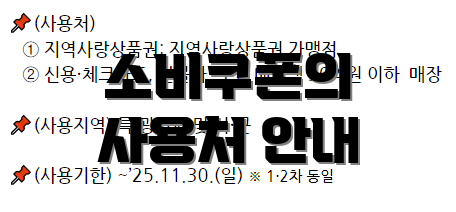 소비쿠폰의 사용처 안내