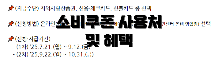 소비쿠폰 사용처 및 혜택
