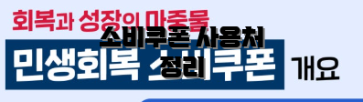 소비쿠폰 사용처 정리