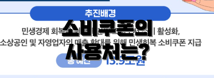 소비쿠폰의 사용처는?
