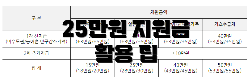 25만원 지원금 활용 팁