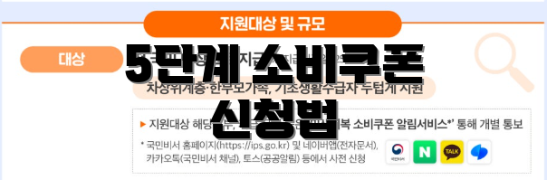 5단계 소비쿠폰 신청법