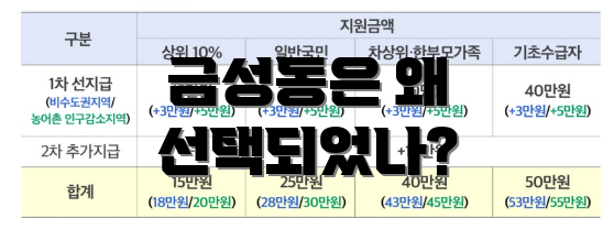 금성동은 왜 선택되었나?