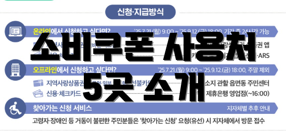 소비쿠폰 사용처 5곳 소개