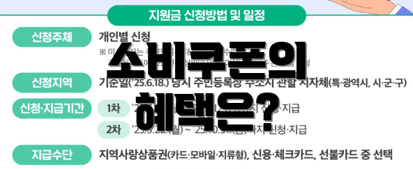 소비쿠폰의 혜택은?