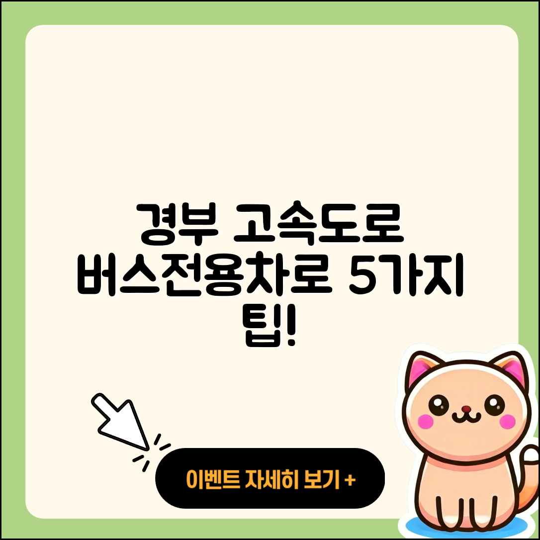 경부 고속도로 버스전용차로 시간 5가지 팁